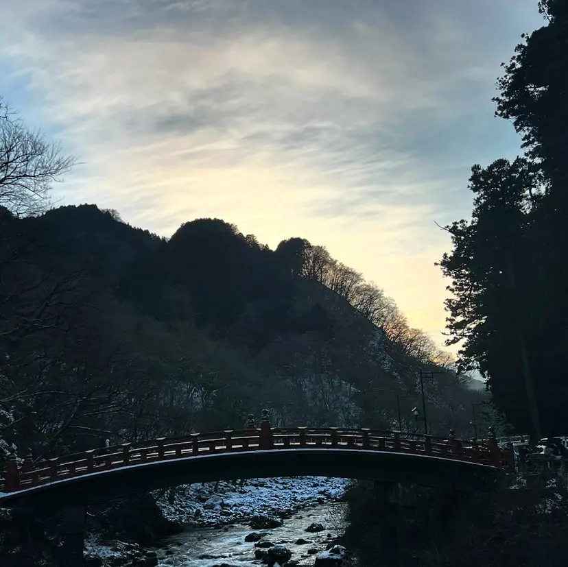 plaatje遥花 🪐の掲載