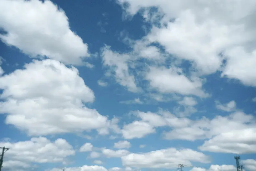 大波 万桜の掲載