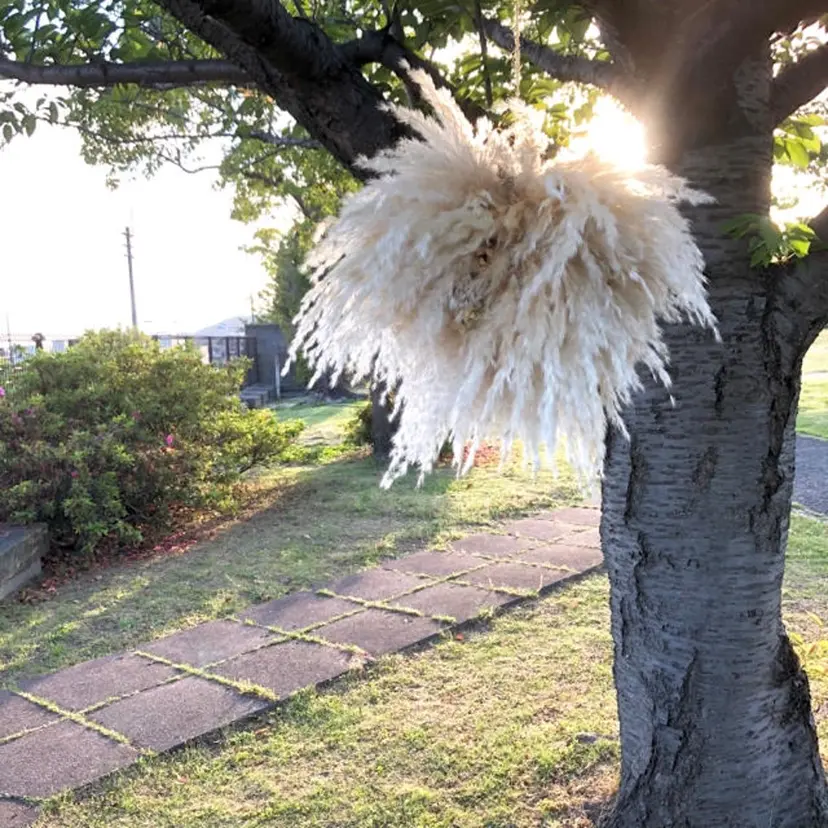 レイヤーカット 🌿透け感カラーの掲載