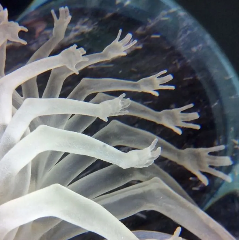 🧼MOMO/ 渋谷✩.*˚🧼の掲載