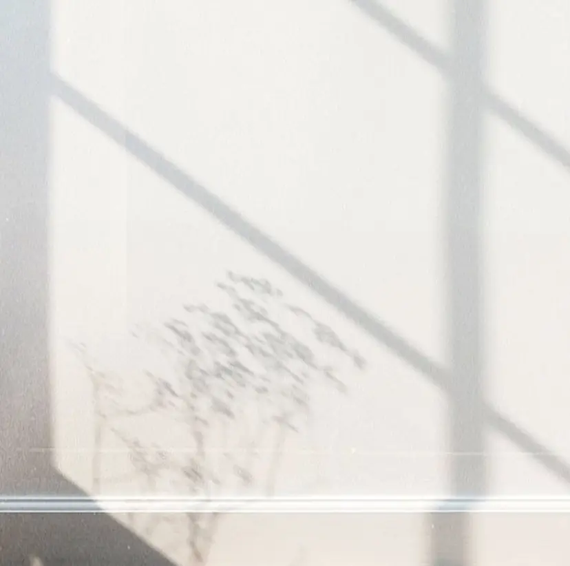 my lash 祇園店の掲載