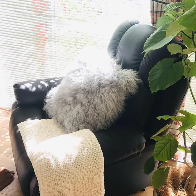 nb. nobayashiの掲載