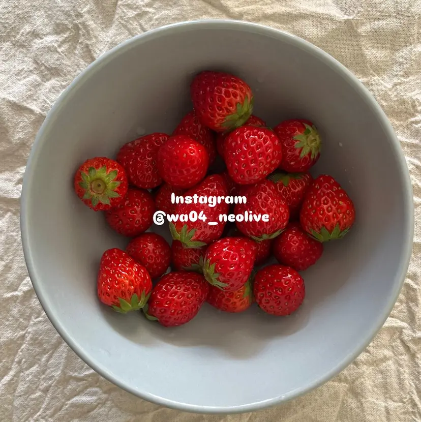 渡邊 あかりの掲載