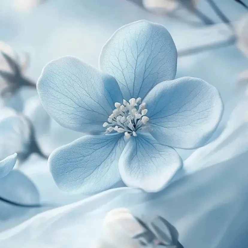 一之瀬 柚季の掲載