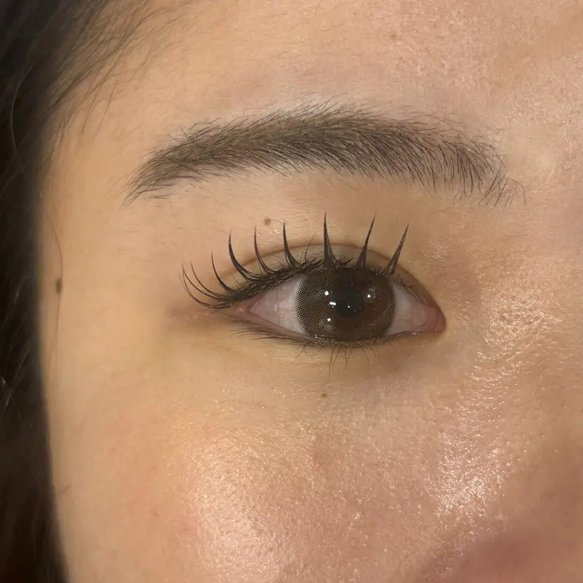 吉田 仁海の掲載