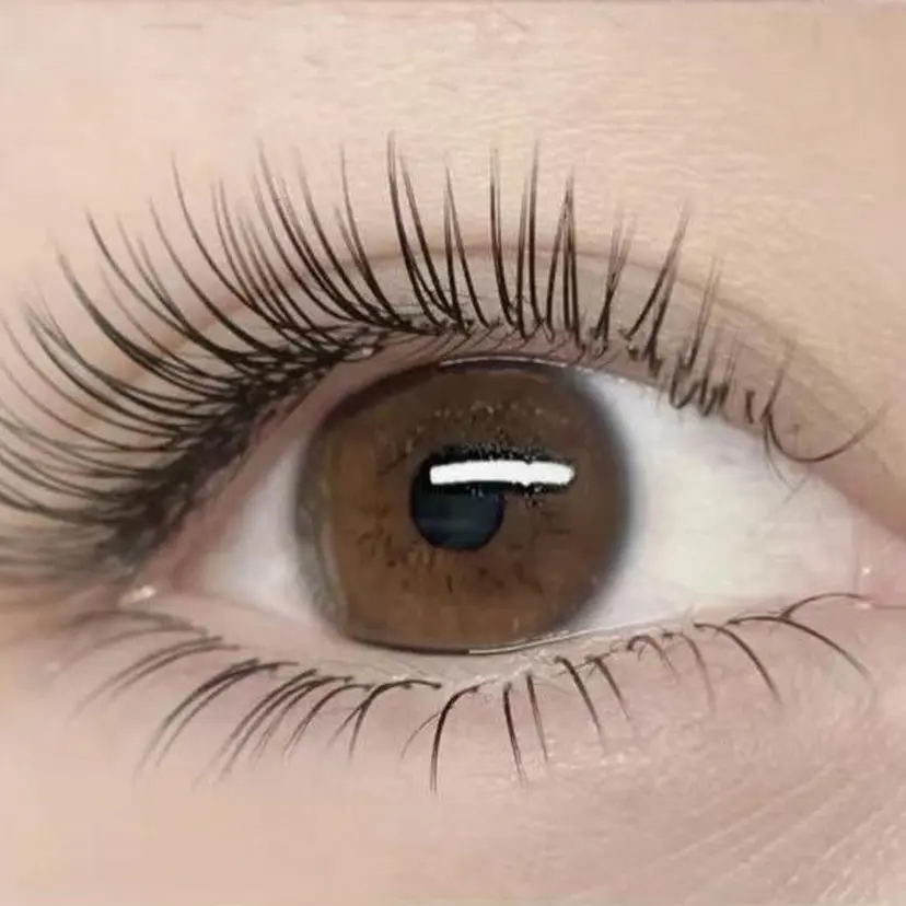 ミイア 東陽町の掲載