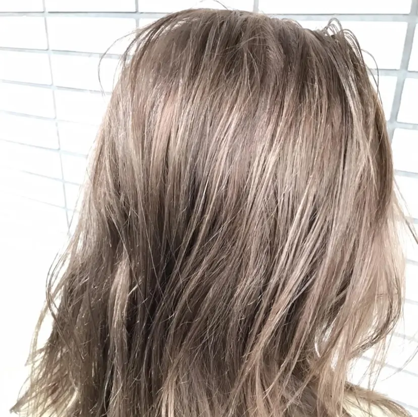 福井 稜平の掲載