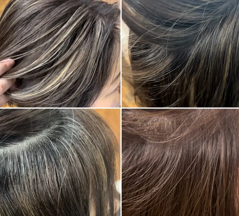 浦 加奈子の掲載