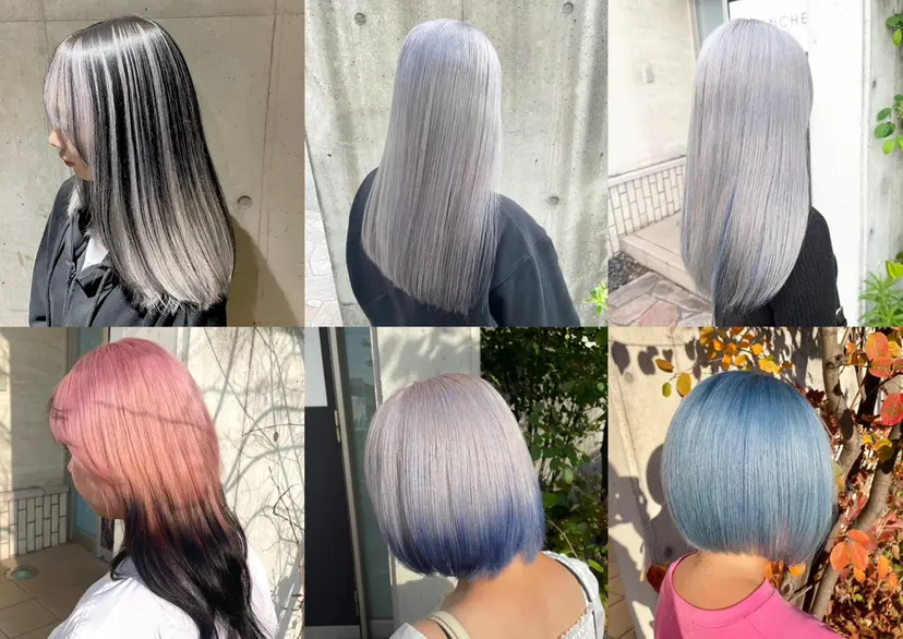 小島 海斗の掲載