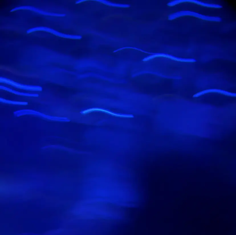 ココナッツネイル 四ツ谷店　moeの掲載