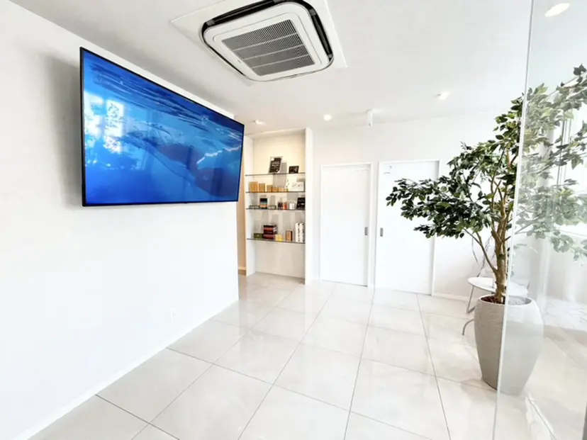 サンス エイジの掲載