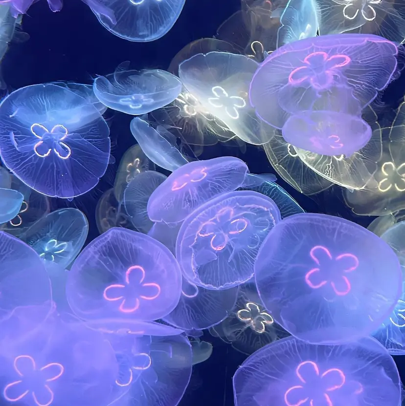 透明感カラー🫧×癒 しスパ鈴木思音の掲載