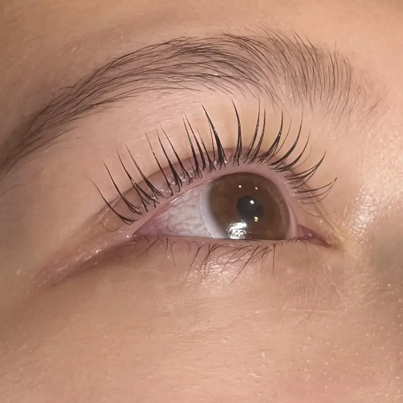 笹岡 朋夏の掲載