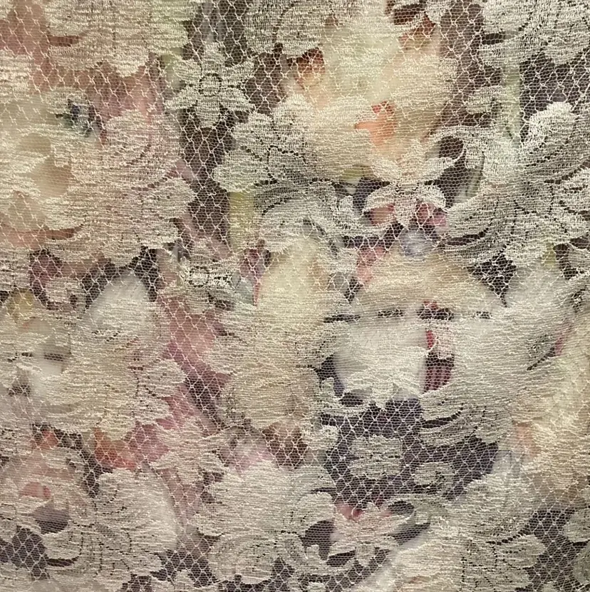 平良 彩笑の掲載