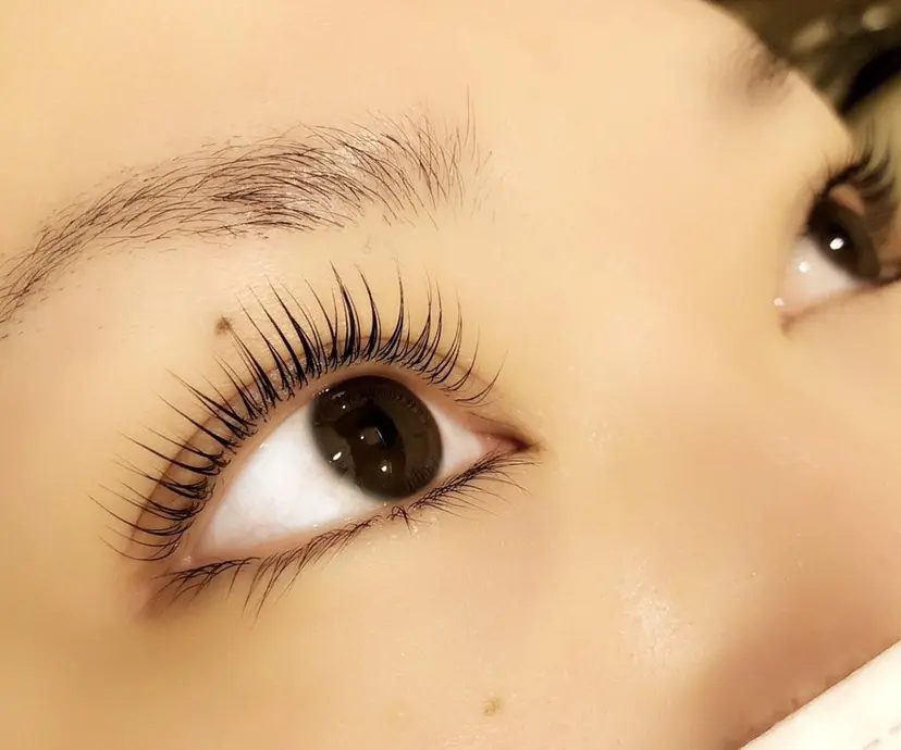 eyelash🦋 abeの掲載