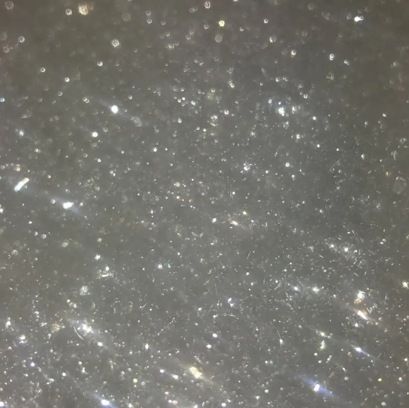 Li aile‪‪ aikaの掲載