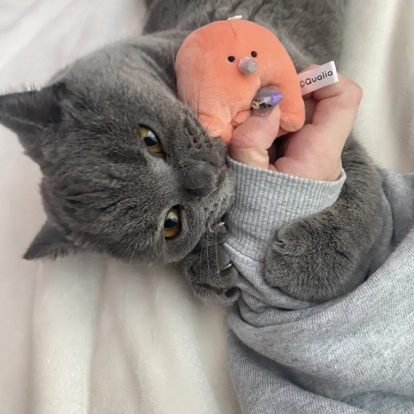 🐾Libero🐾 柏　KONOMIの掲載