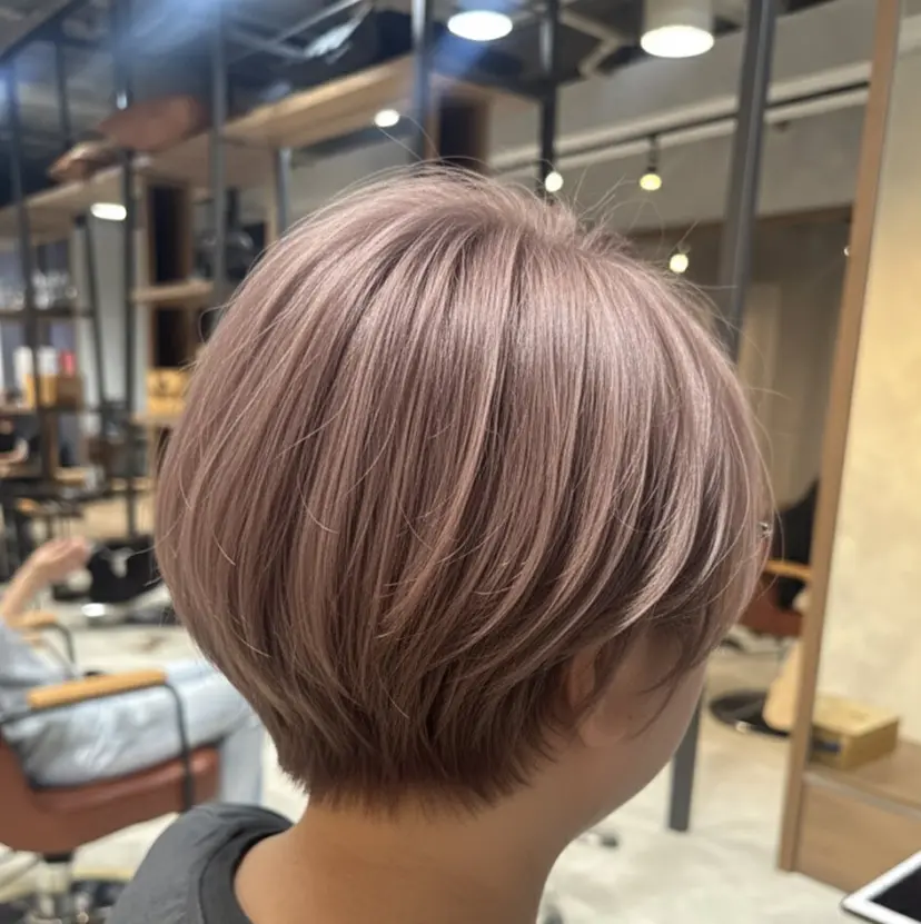 岩本 栄輝の掲載