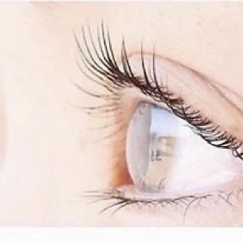 両国 ミィアの掲載