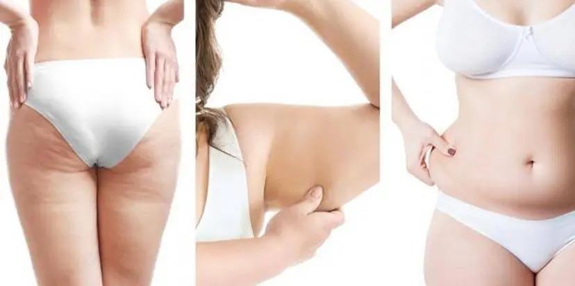 YOSAPARK ベルフラワーの掲載