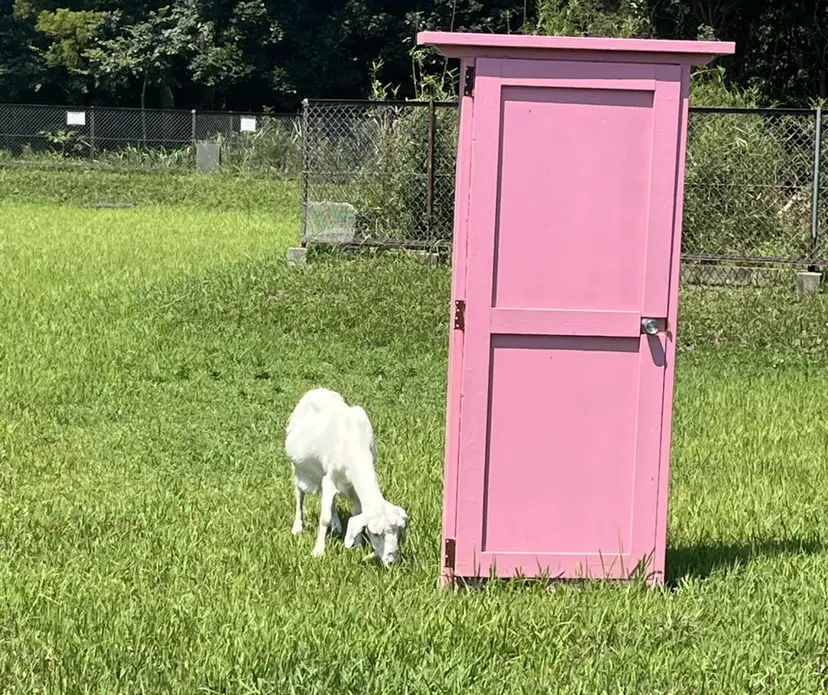👑艶髪/ブリーチ/ 縮毛矯正/パーマ👑の掲載