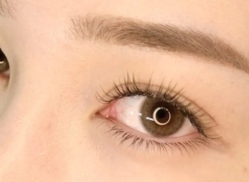 野澤 穂華の掲載