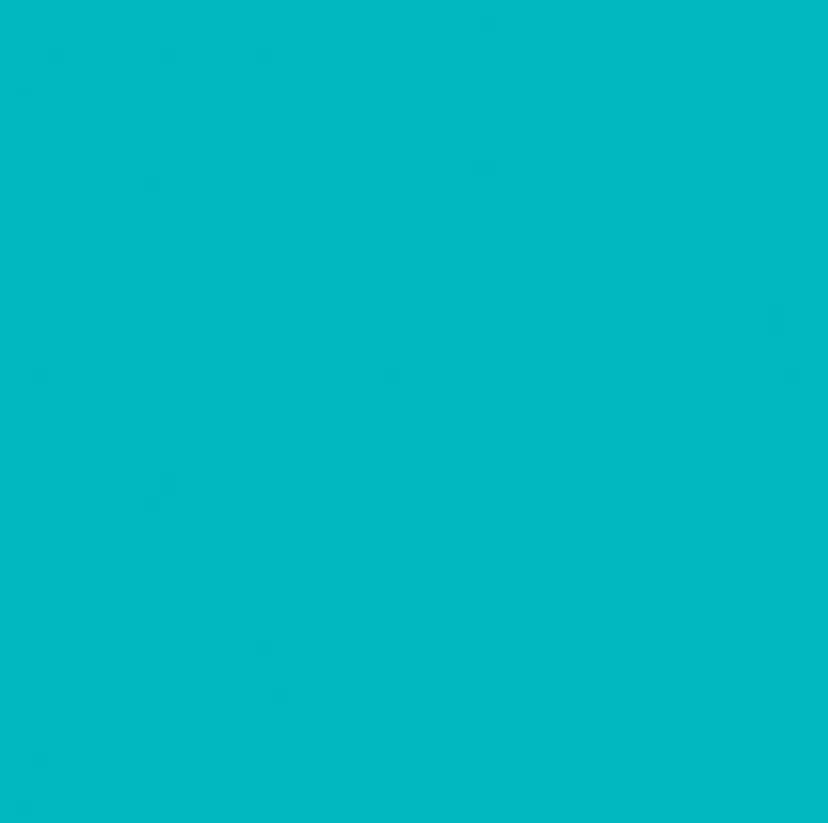 レイヤー/艶カラー ROKUの掲載