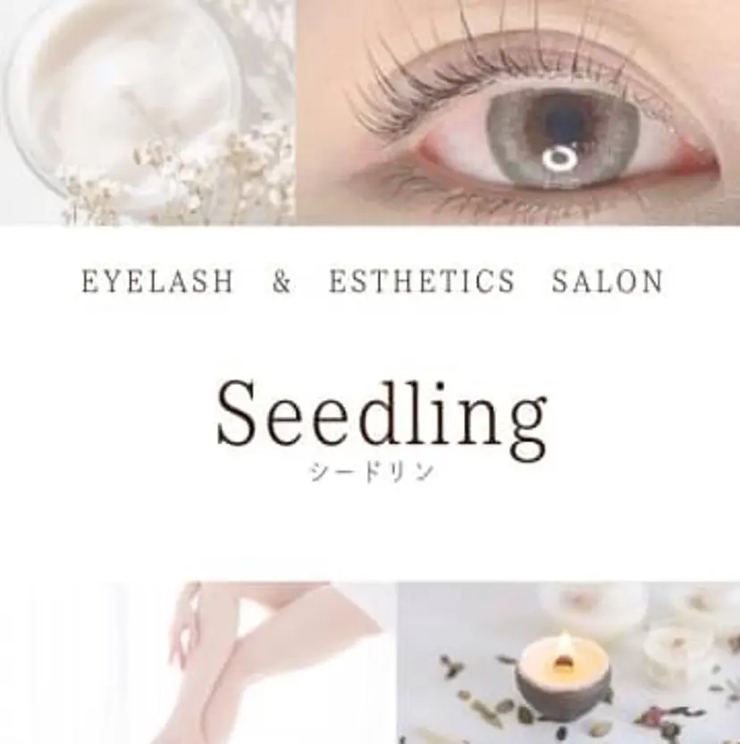 シードリン 府内店 杉田の掲載