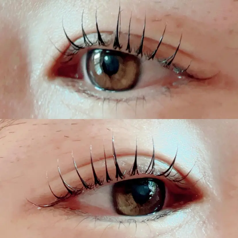 Eyelash m&mの掲載