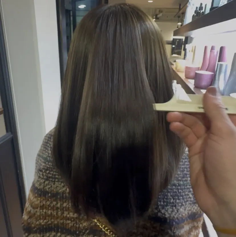 佐藤 岬樹の掲載