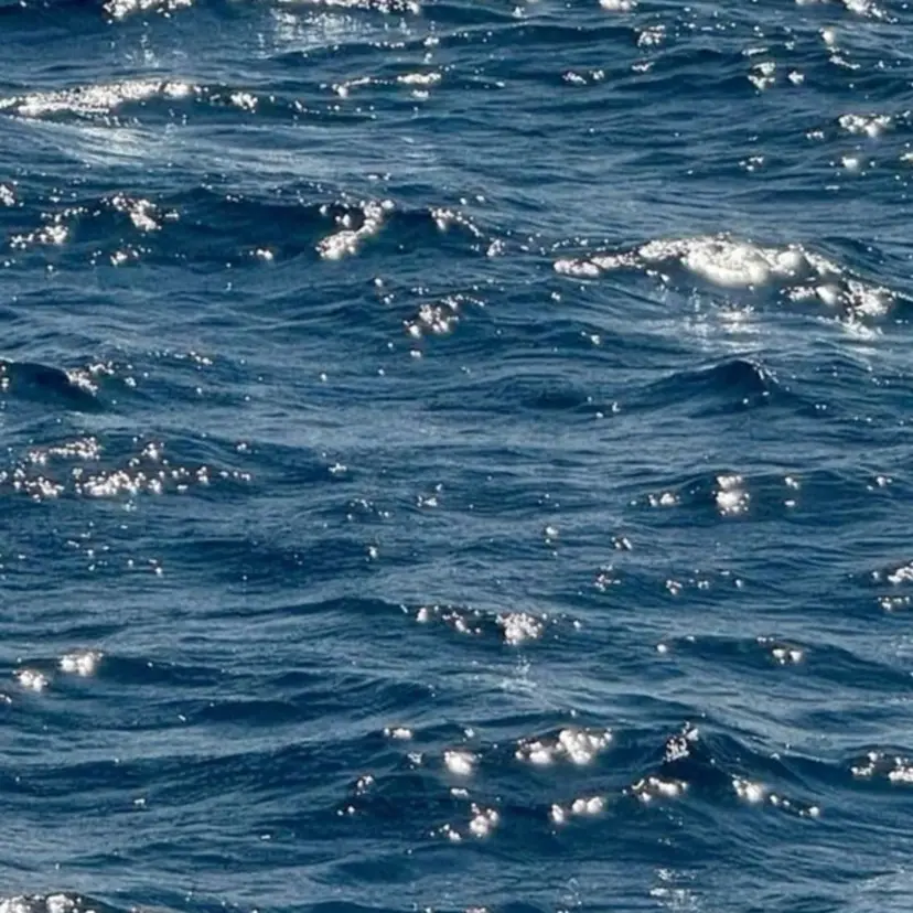 マリーテレジア 🫧YAMAMOTOの掲載