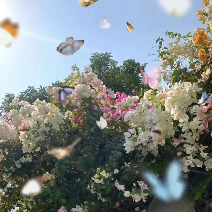 Sonoko Nail✨✨の掲載