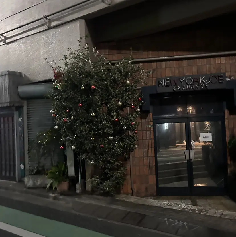 桑江 紫瑞花の掲載