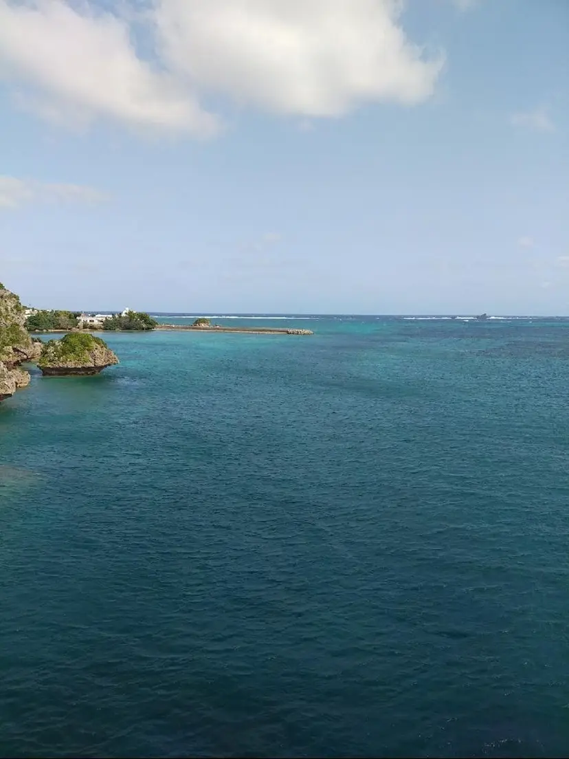 カラー/髪質改善/ カット/にこるの掲載