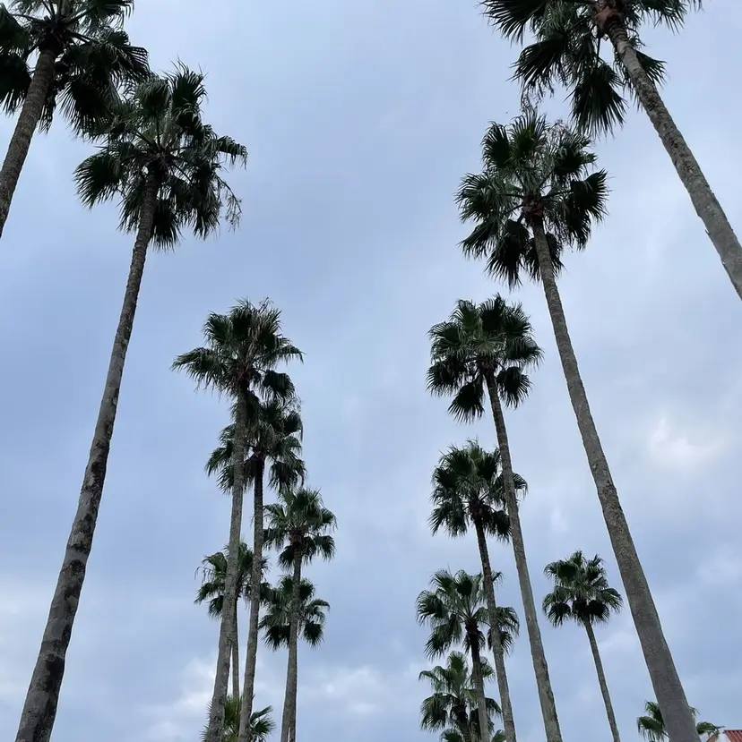 ROPE ナナミの掲載