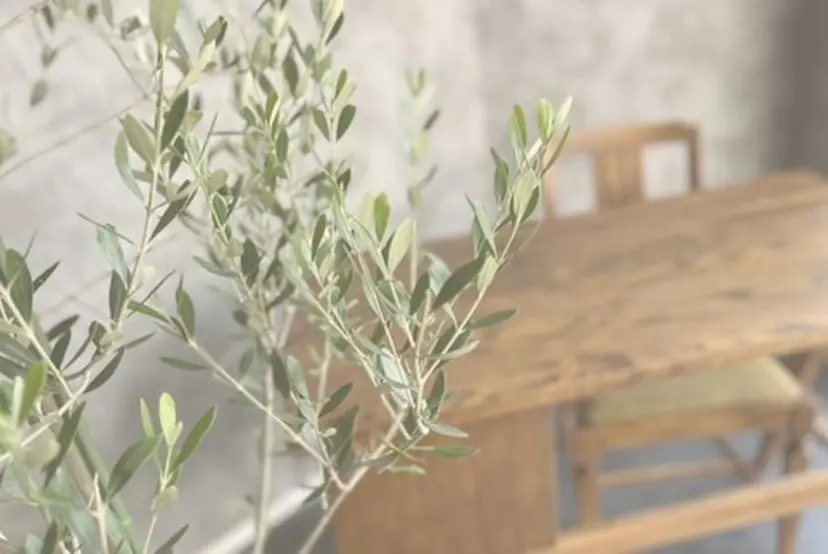 Ravir 西山の掲載