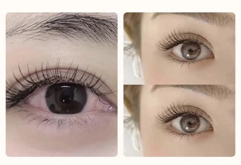 Melty サロンの掲載