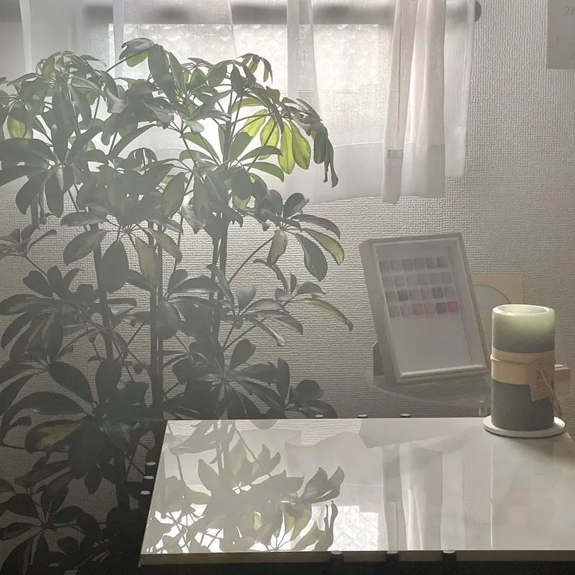 夜までElle.M 【エルマ】オーナーの掲載