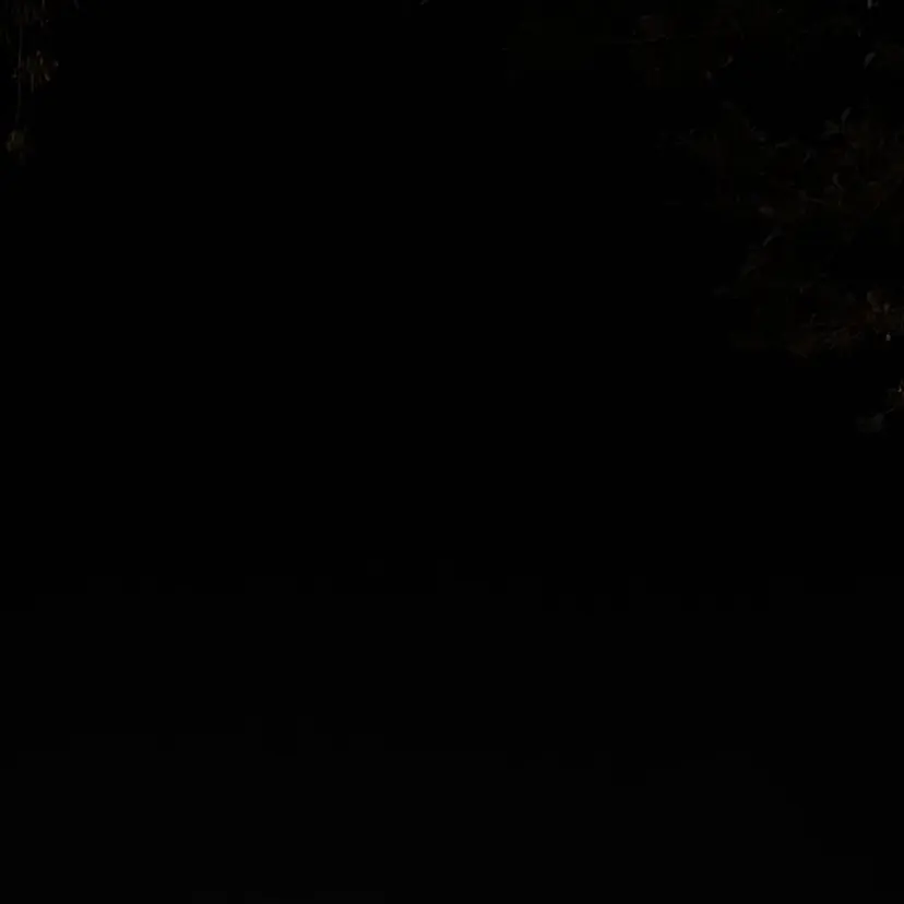 Lucia のえの掲載