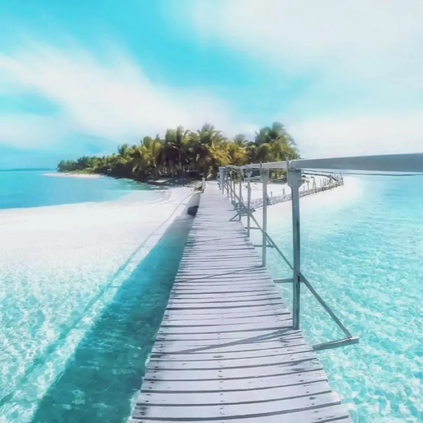 寺田 ゆりの掲載