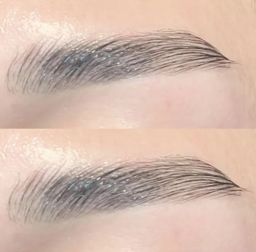 西村 結希の掲載