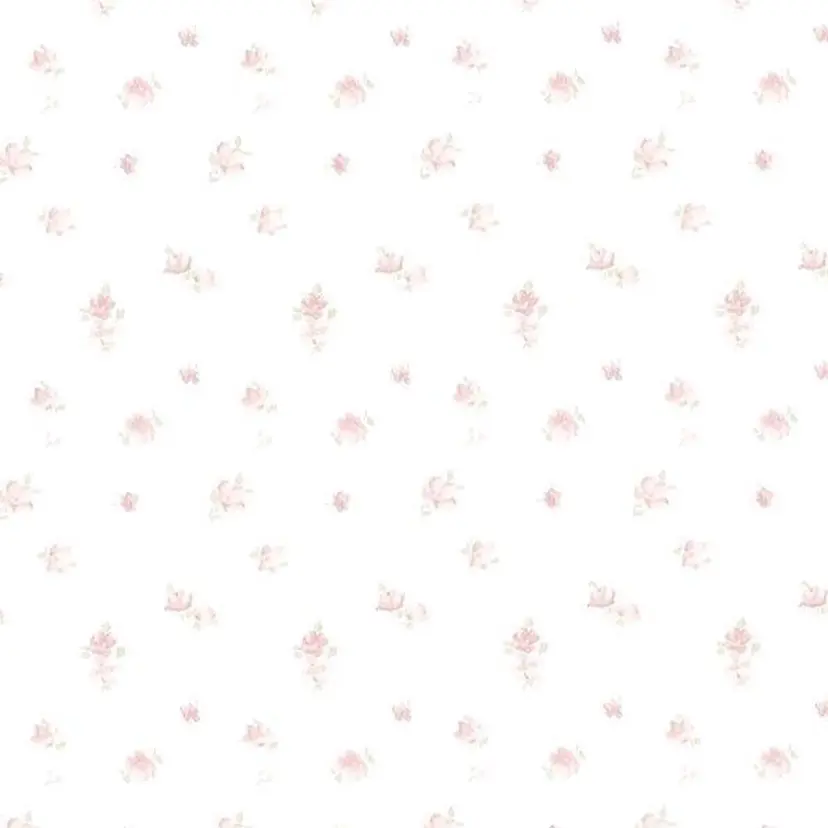 MIROH otokaの掲載