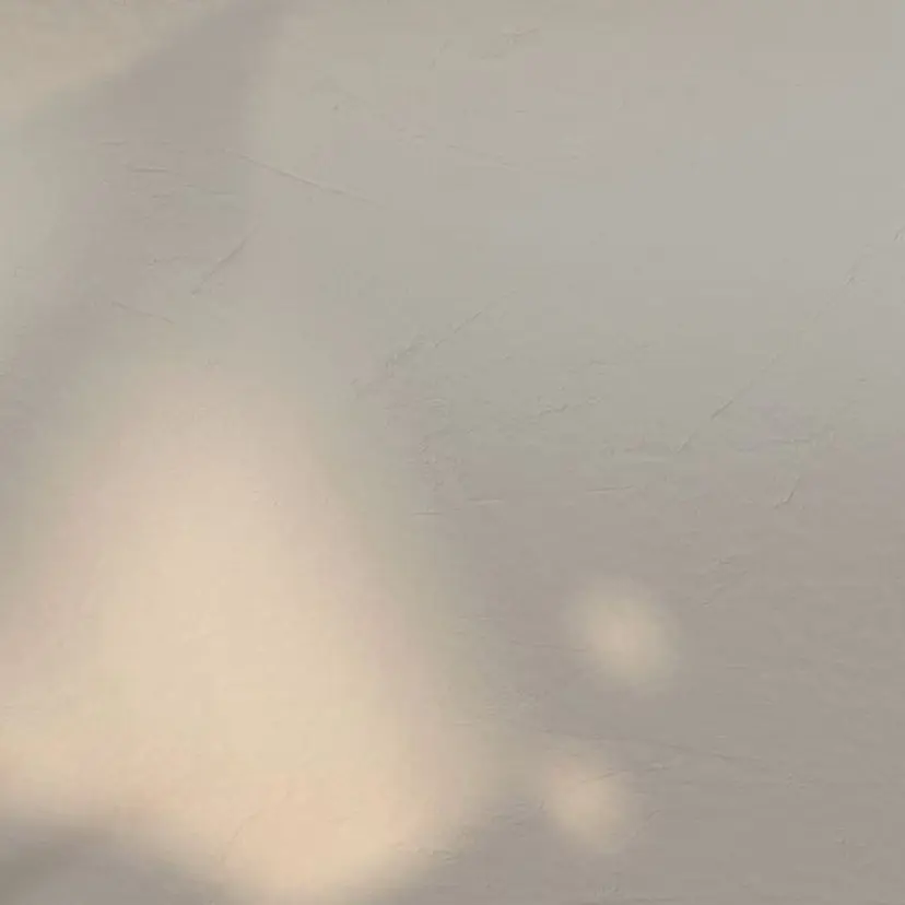 WAKANA/ ニュアンス・個性派の掲載