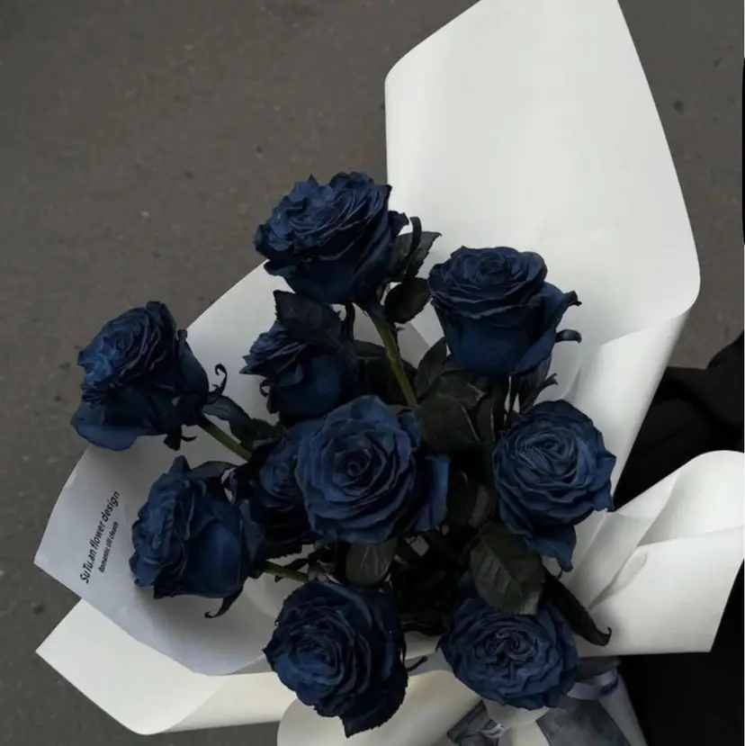 koyori 🌙の掲載