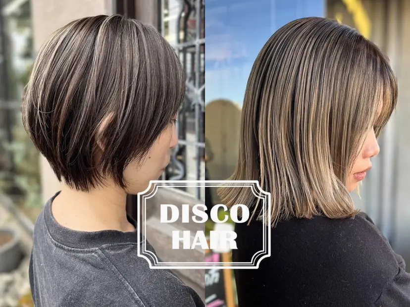 木村 ときわの掲載