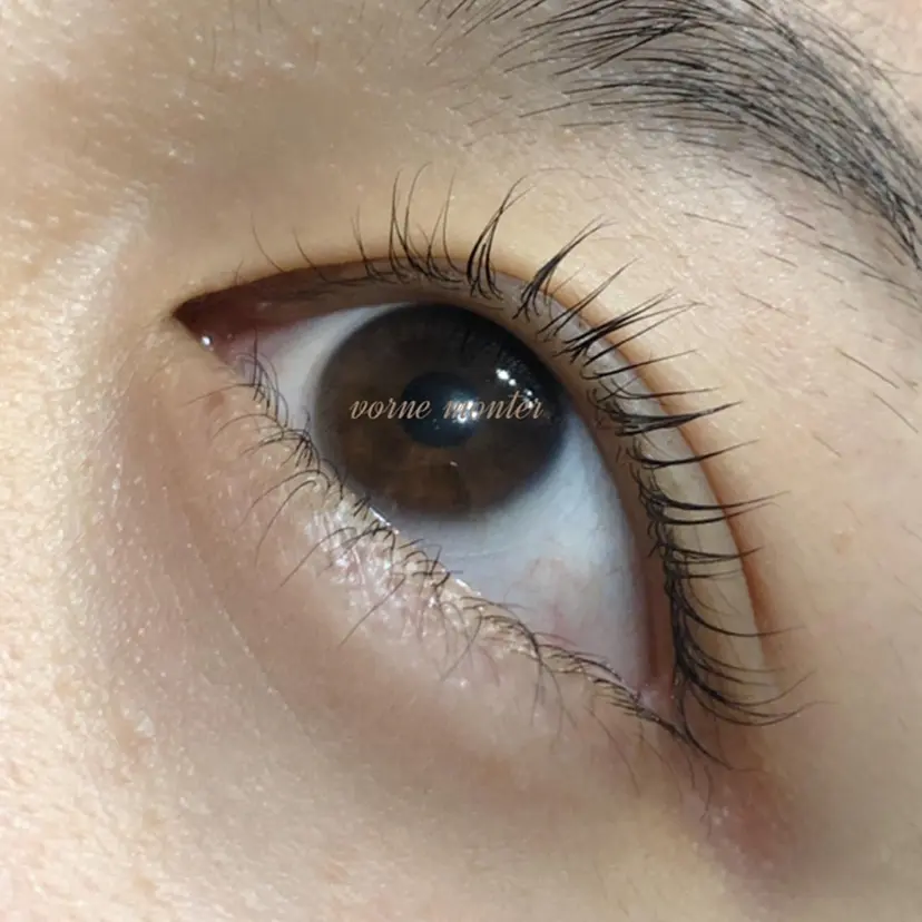 Vorne Monterの掲載