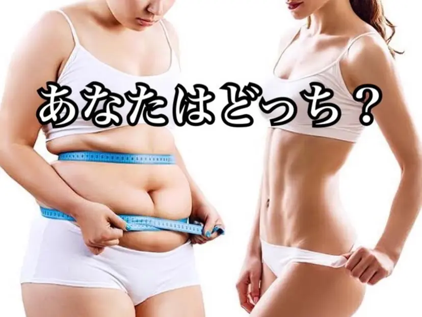 YOSA  PARK Heavenの掲載