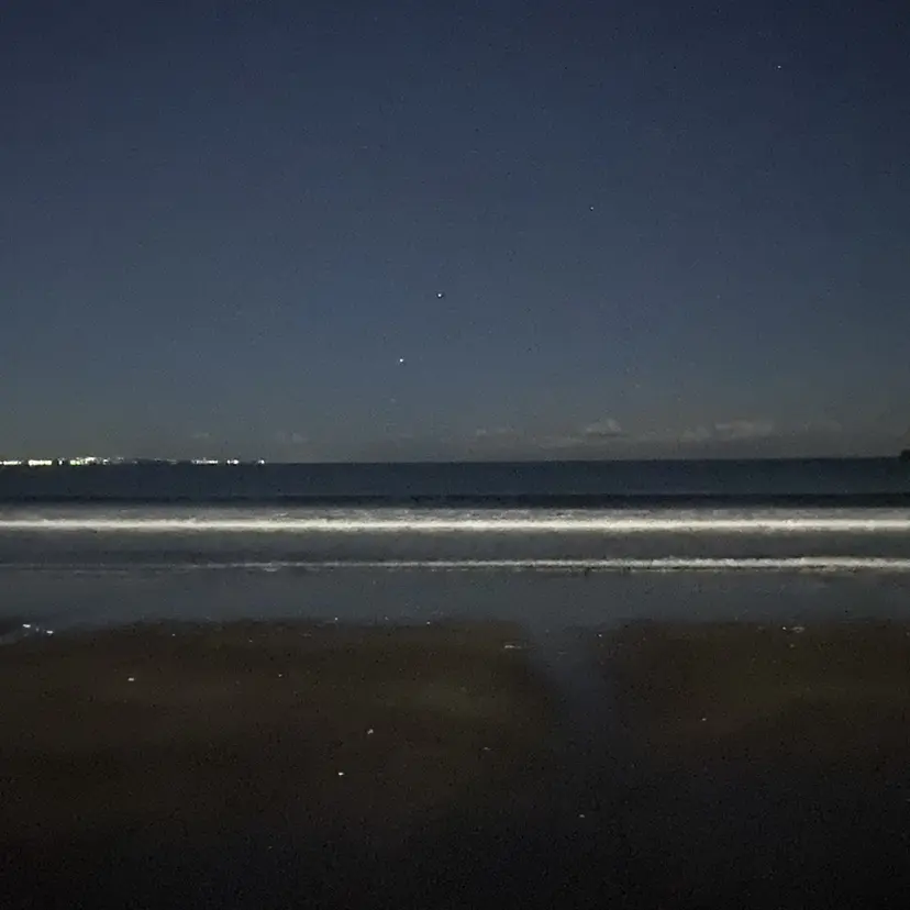 🍒SOCIE あかり🍒の掲載