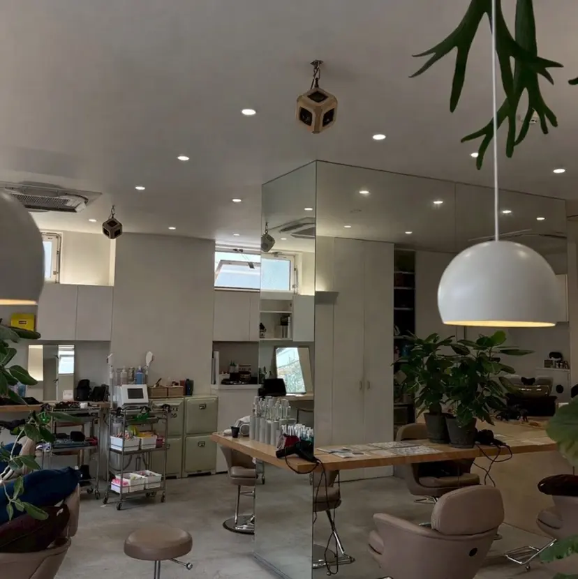 木村 大暉の掲載