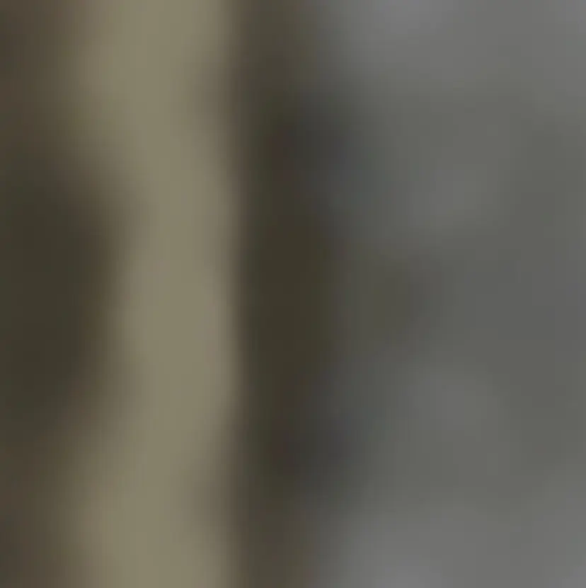 【sica】 平井涼樺の掲載